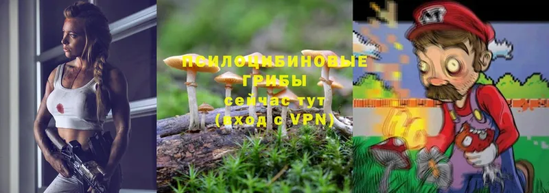 цена   Белый  Галлюциногенные грибы MAGIC MUSHROOMS 